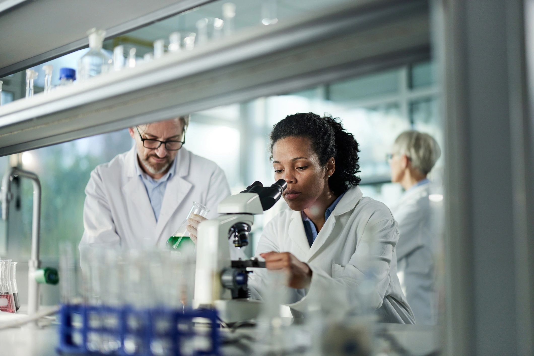 modern biotechnology laboratory